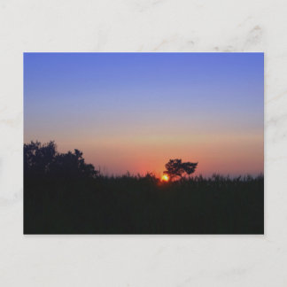 CARTE POSTALE OCEAN CITY MD