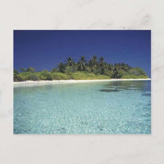 Carte Postale Océan Indien, îles Maldives. (MR) (Devant)