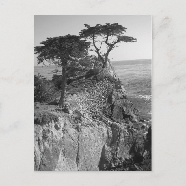 Carte Postale Océan Pacifique (Devant)