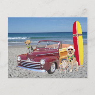 Carte Postale Océan/Plage/Surf/Bois