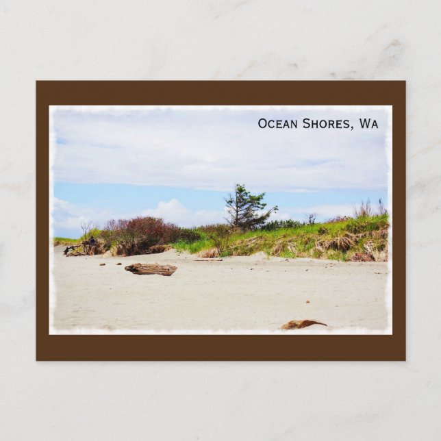 Carte Postale Ocean Shores, Washington Postcard (Devant)
