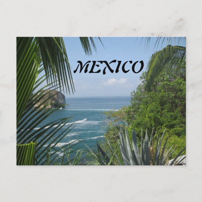 Carte postale Ocean Trees (Devant)