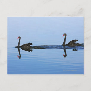 Carte Postale Océanie, Nouvelle-Zélande, île du Sud, Hokitika -