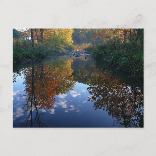 Carte Postale october at the stream (Devant)