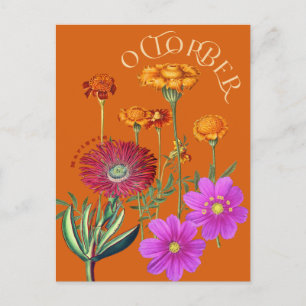 Carte Postale Octobre Mois Fleurs Marigold Cosmos Orange