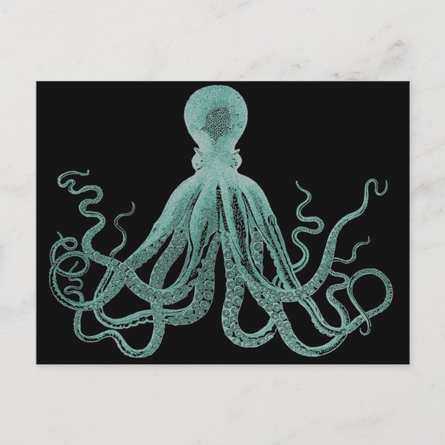 Carte postale octopus bleu (Devant)