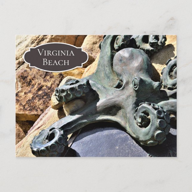 Carte Postale Octopus et Rocks Beach Virginia Beach (Devant)