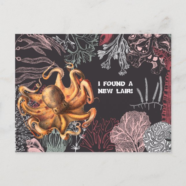 Carte Postale Octopus Garden Changement d'adresse (Devant)