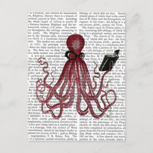 Carte Postale Octopus intelligent
