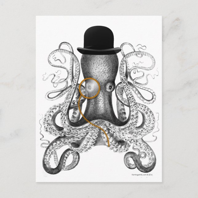 Carte Postale Octopus Monocle Bowler Curiosité Casquette (Devant)
