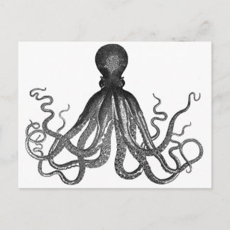 Carte Postale Octopus Postcard