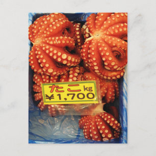 Carte Postale Octopus Tako た こ marché de poisson Tsukiji, Tokyo,
