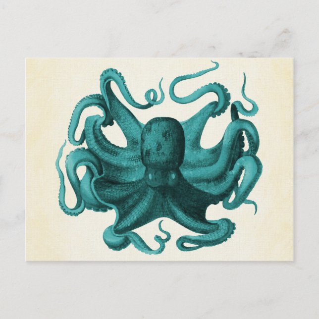 Carte Postale Octopus vintage (Devant)