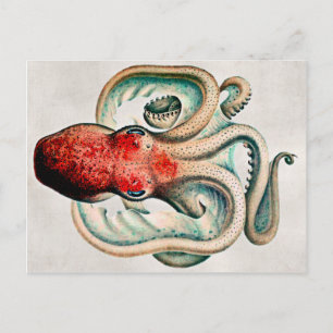 Carte postale Octopus vintage
