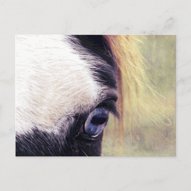 Carte Postale Oeil bleu (Devant)