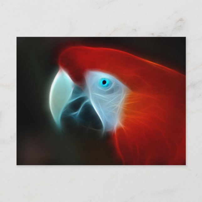 Carte Postale Oeil bleu de perroquet fractal rouge (Devant)
