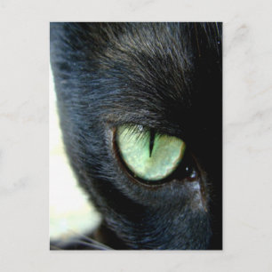 Carte Postale Oeil de chat noir