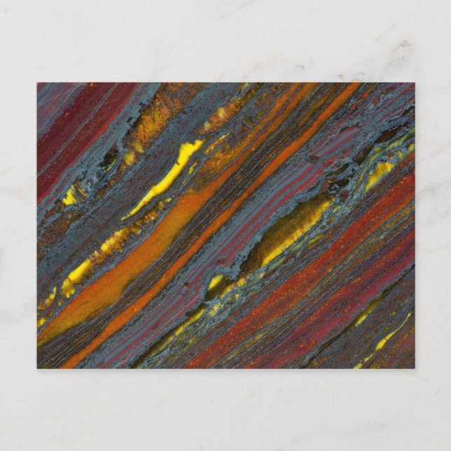 Carte Postale Oeil de tigre australien rayé (Devant)