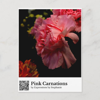 Carte Postale Œillets roses