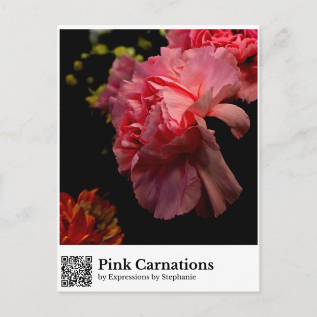 Carte Postale Œillets roses (Devant)