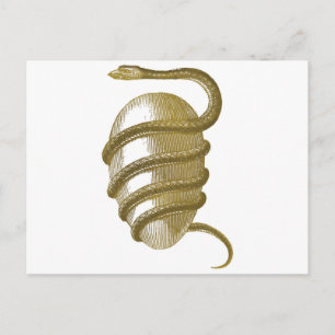 Carte Postale OEuf cosmique