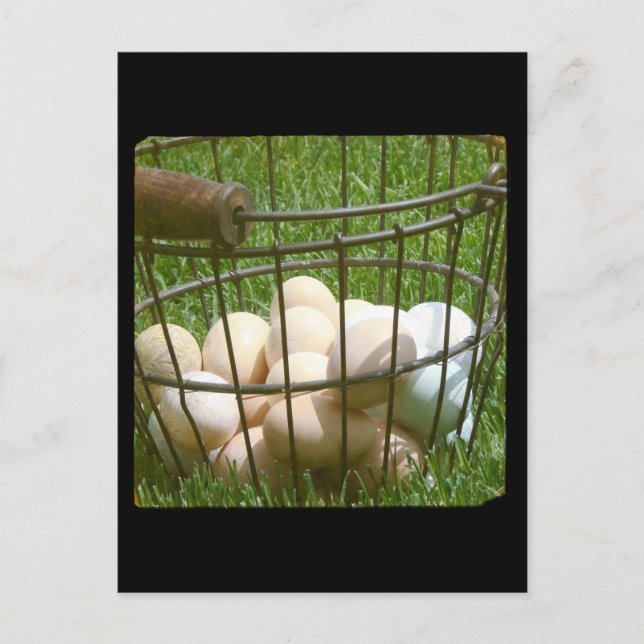 Carte Postale Oeufs (Devant)