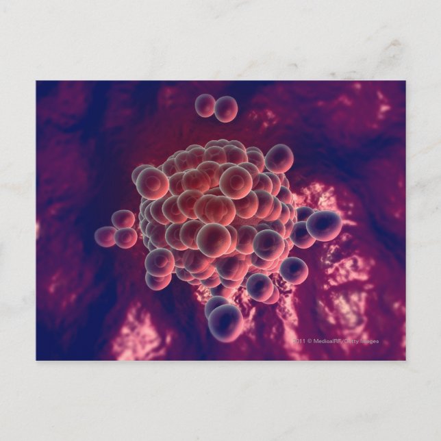 Carte Postale Oeufs dans un ovum (Devant)