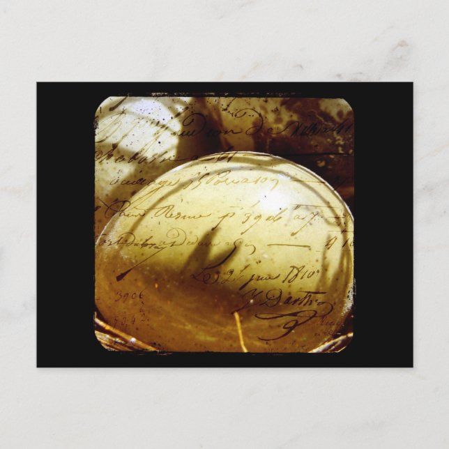 Carte Postale Oeufs de Cailles Button (Devant)