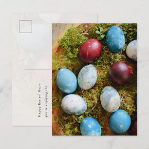 Carte Postale Œufs de Pâques teints dans la nature rustique