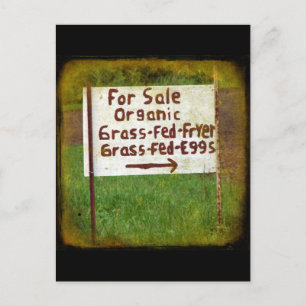 Carte Postale OEufs et friteuses de laiton bio