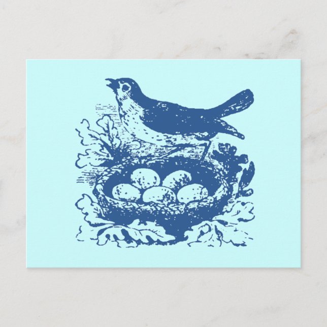 Carte Postale OEufs vintages et nid (Devant)