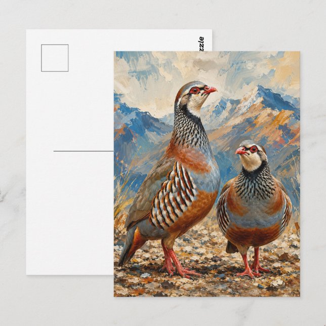 Carte Postale Œuvre d'art de couple de perdrix chukar  (Devant / Derrière)