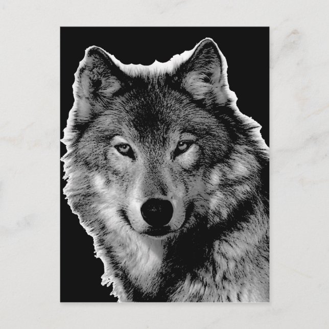 Carte Postale Œuvre d'art Loup Noir & Blanc (Devant)