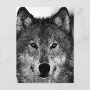 Carte Postale Oeuvre de Loup noir et blanc