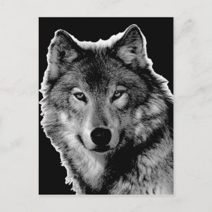 Carte Postale Oeuvre de Loup noir et blanc
