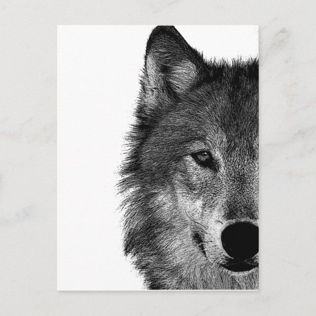 Carte Postale OEuvre d'oeil de loup noir et blanc (Devant)