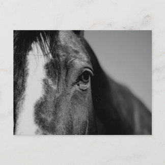 Carte Postale OEuvre d'oeil noir blanc