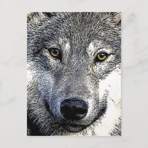 Carte Postale OEuvre Wolf Eyes