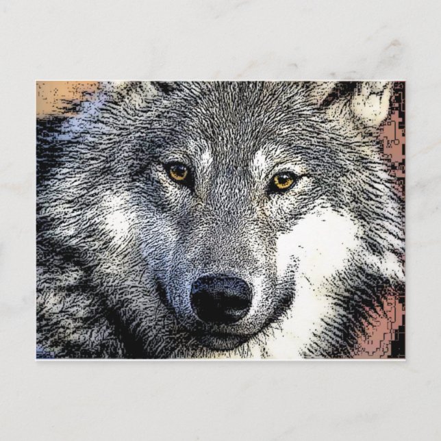 Carte Postale OEuvre Wolf Eyes (Devant)
