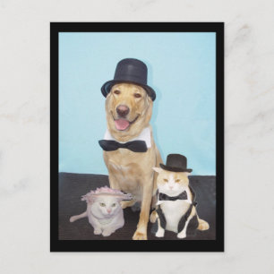 Carte postale officielle