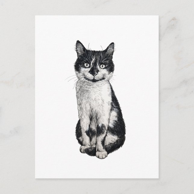 Carte Postale Ogie le chat (Devant)