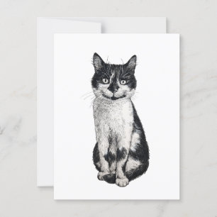 Carte Postale Ogie le chat