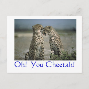 Carte Postale Oh! Cheetah !