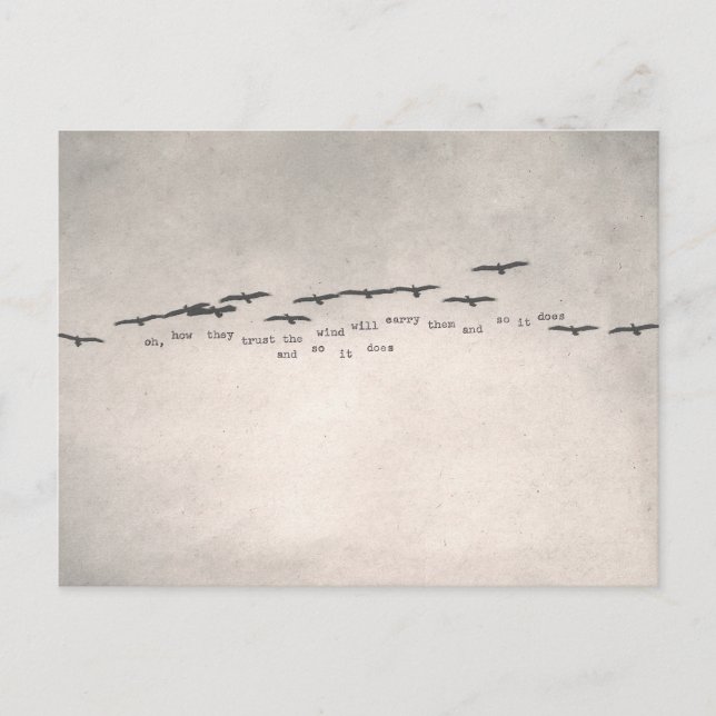 Carte Postale "oh, how they trust " (Devant)