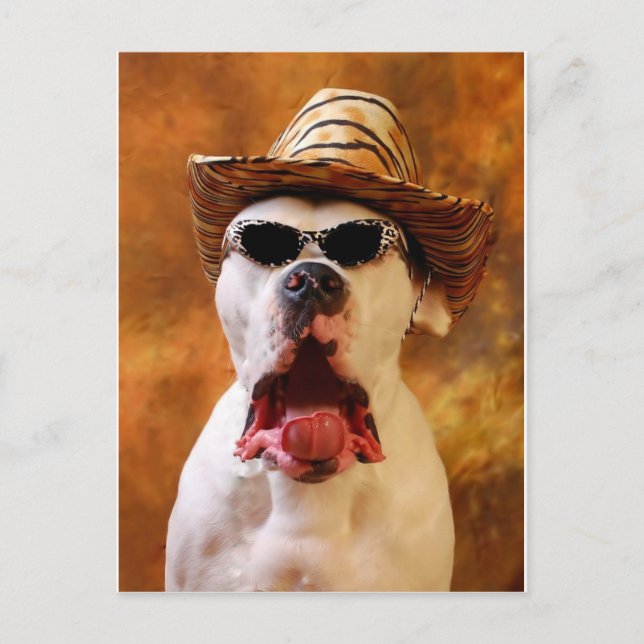 Carte Postale Oh mon Dieu ! (Devant)