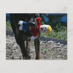 Carte postale Oh-No M. Bill