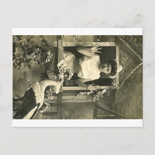 Carte Postale Oh non ! La cigogne infernale ! (Devant)