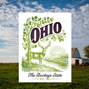 Carte Postale Ohio l'État du Buckeye Ét. 1803 Voyage