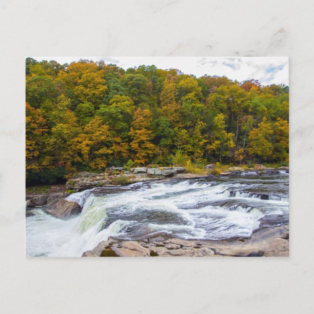 Carte Postale Ohiopyle Falls, Pennsylvanie (Devant)