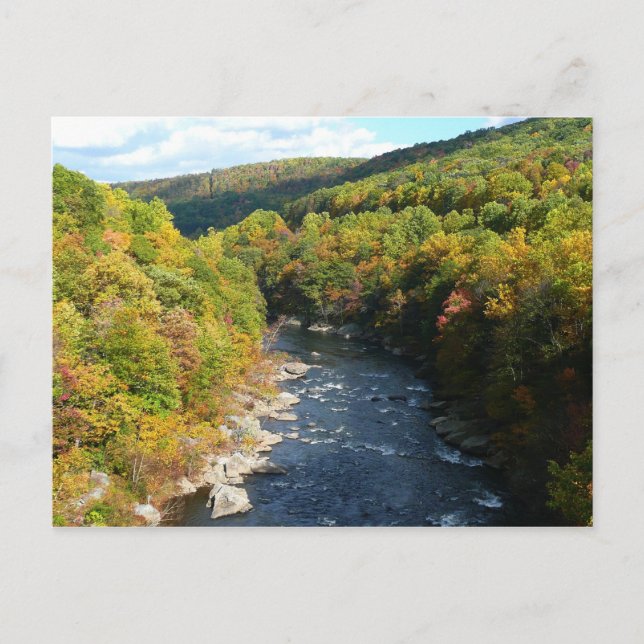 Carte Postale Ohiopyle River à l'automne I Pennsylvanie Automne (Devant)